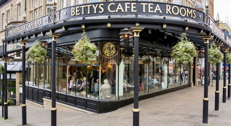 Nala Lodge — photo 3