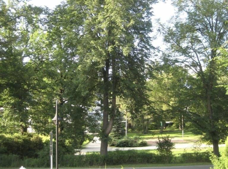 Ferienwohnung Bad Elster