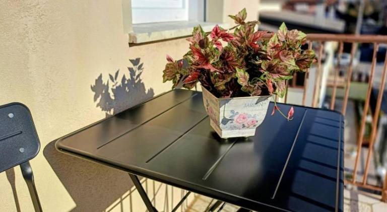 Apartment | Pet-friendly — photo 4
