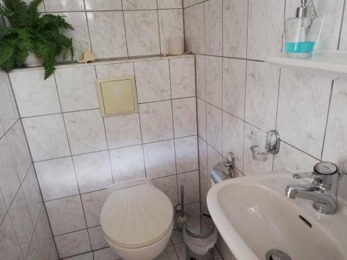 foto16