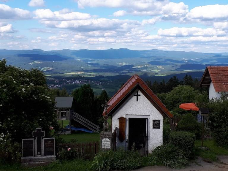 foto40