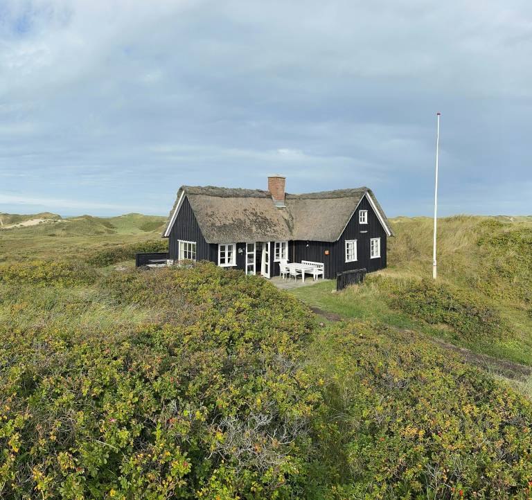 Ferienhaus mit Hund in Houvig Strand fuer max. 6 Personen