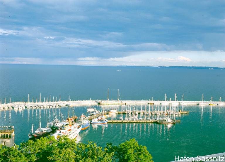 foto11