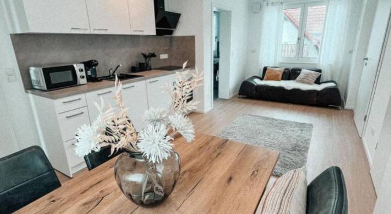 Rental apartment with patio in Offenburg