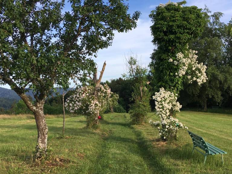 foto44