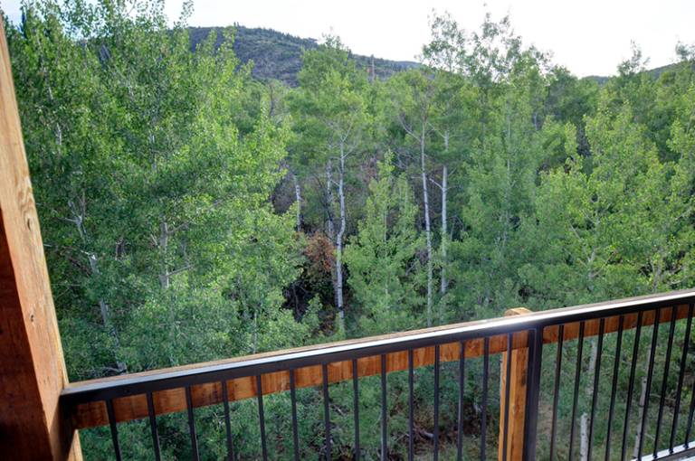Bear Hollow Lodges 3401 — photo 3