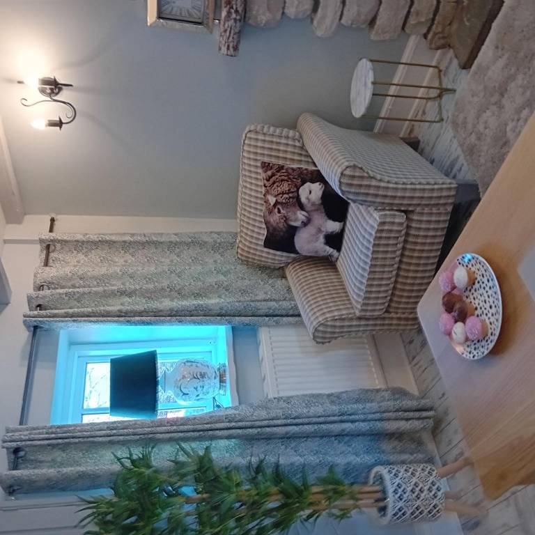 foto1