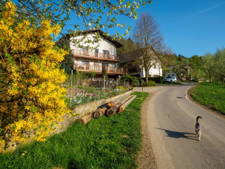 Ferienwohnung  Yspertal