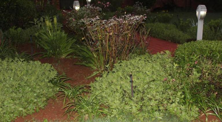foto11