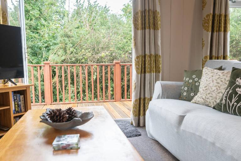 Lodge with patio in Ilfracombe