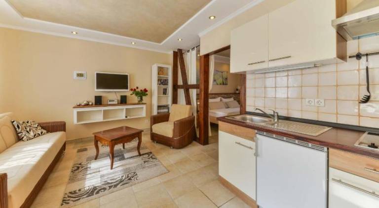 Serviced apartment with 2 rooms for 5 persons — photo 3