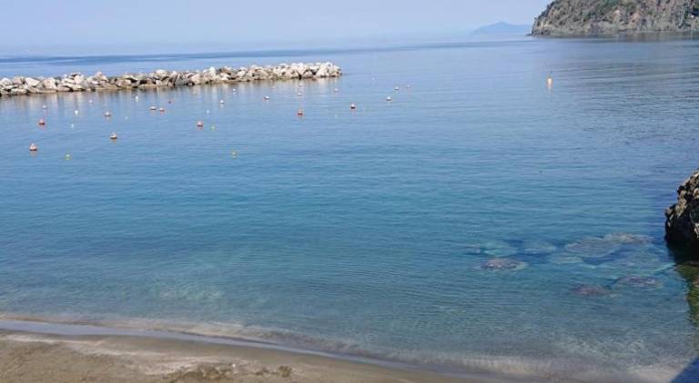 Affittacamere Rosa Dei Venti — photo 2
