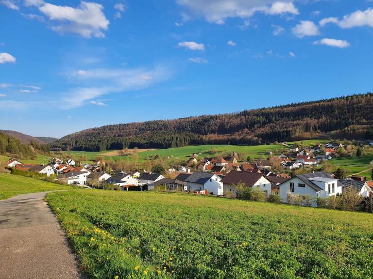 Apartment  Tuttlingen