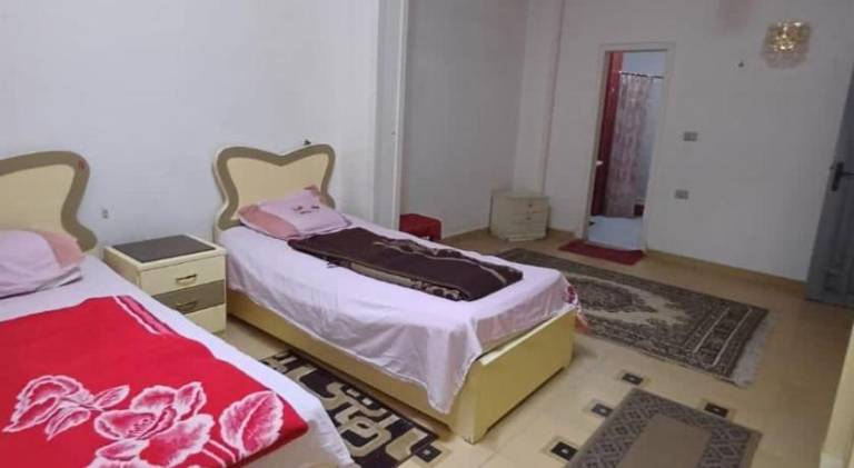 Spacious rental apartment | Pets are welcome — photo 5