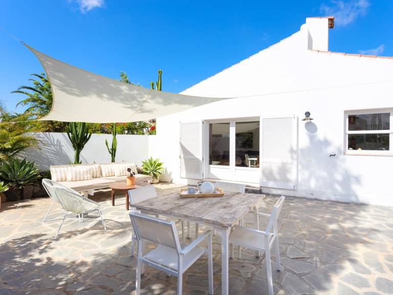 Cottage Palm-Mar
