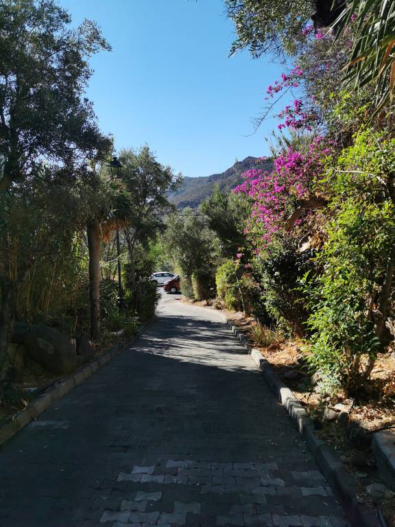 foto13