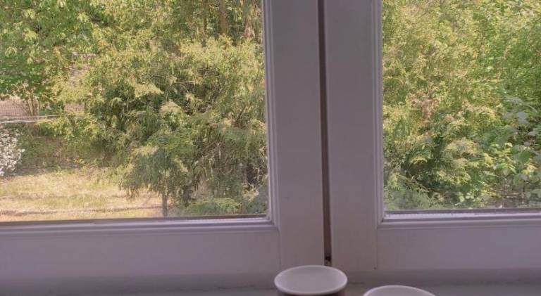 Appartement Bains-les-Bains