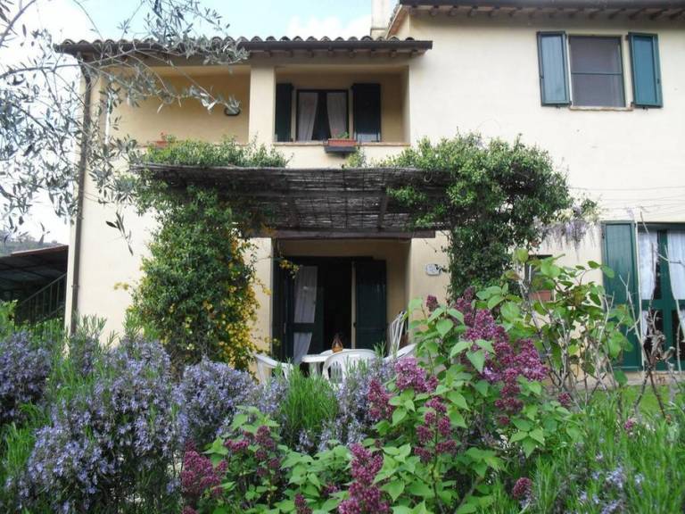 La Fonte: OLIVO C 3/4 posti — photo 3