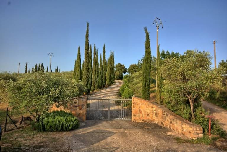 Villa with private pool & yard — photo 4