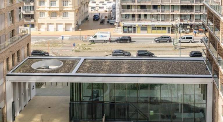 Apartment with patio | Close to the beach | Pets are welcome — photo 4
