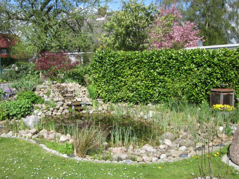 Rental apartment with yard — photo 3