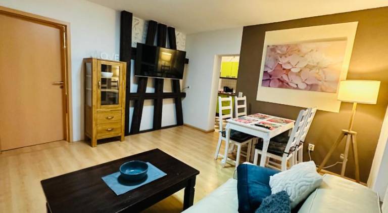 Quartier48 - 2 Stadtapartments oder das ganze Haus bis 9 Personen in Suhl