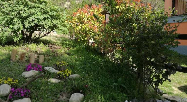 foto42