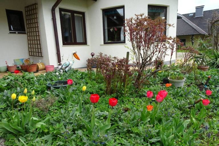 Ferienhaus Gmunden