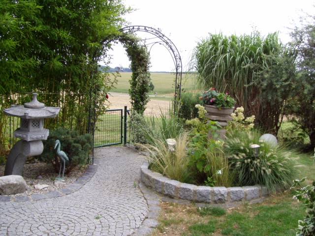 foto17