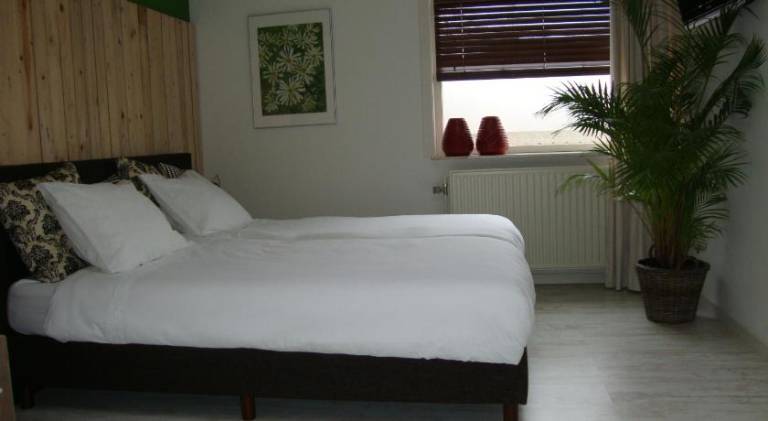 foto8
