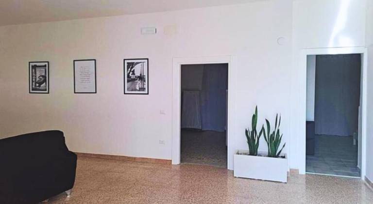 Ample apartment | Pet-friendly — photo 3