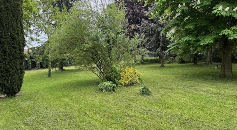foto17