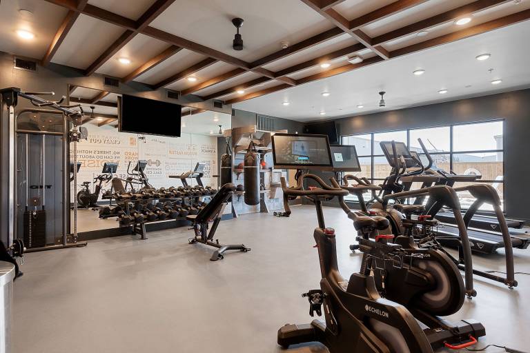 Sky-High Comfort 1BR Gym Pool Pet Friendly — photo 4
