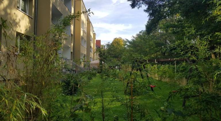 foto16