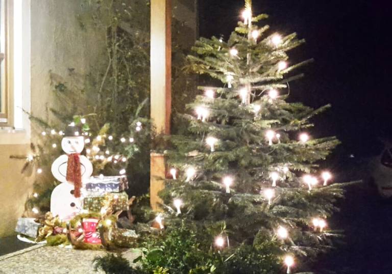 foto28