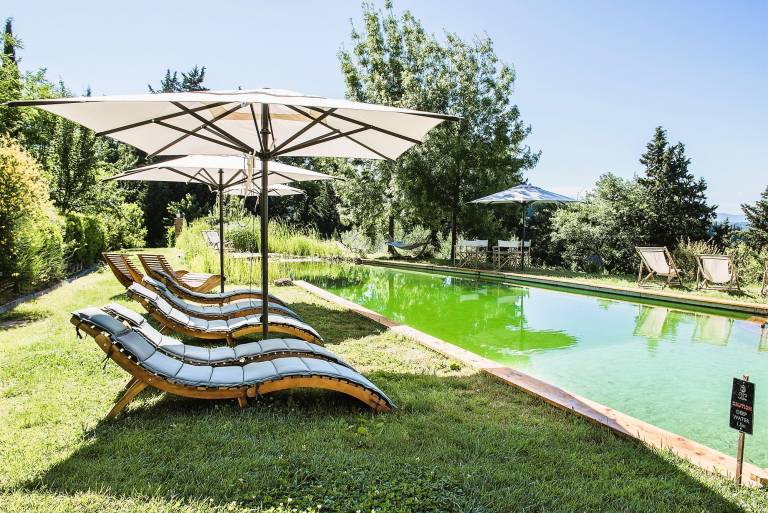 Luxury, Sustainability and Eco Pool in Forno Apt. — photo 2