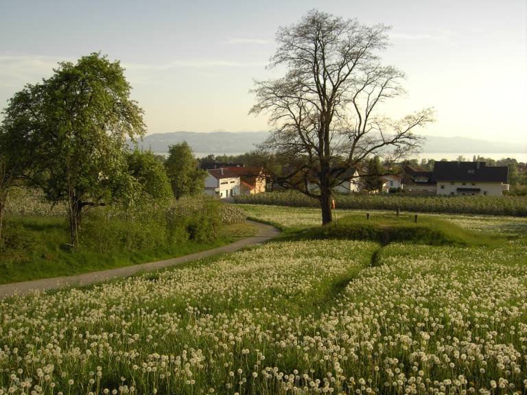 foto17