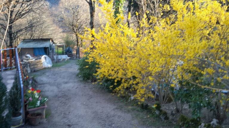 Logement Estaing