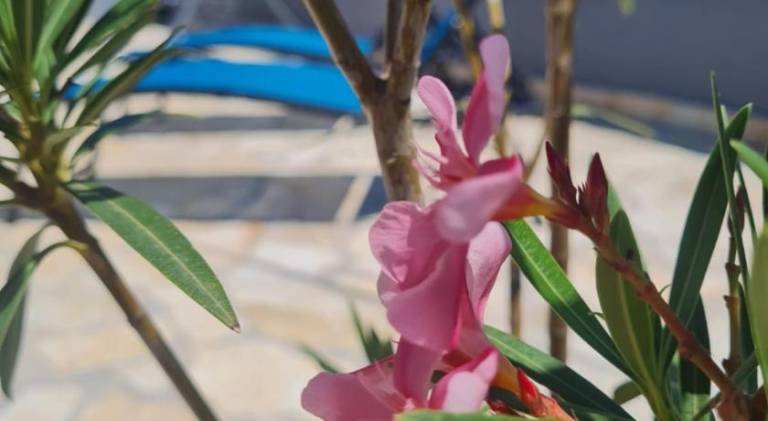 42 m&sup2; Ferienwohnung