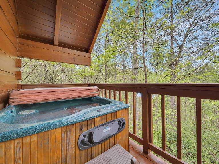 Gatlinburg Hot Tub Pet Friendly Fireplace WiFi in Gatlinburg, TN