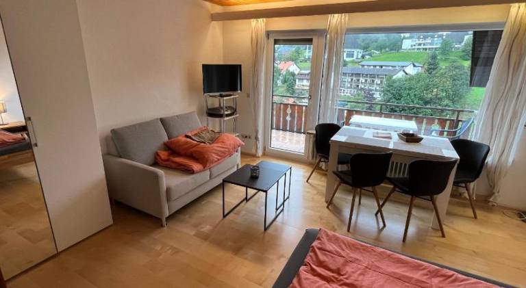 Haus am Sonnenberg, Todtnauberg, Ferienwohnung 204, direkt am Skilift-Skipiste, Nahe Feldberg — photo 2
