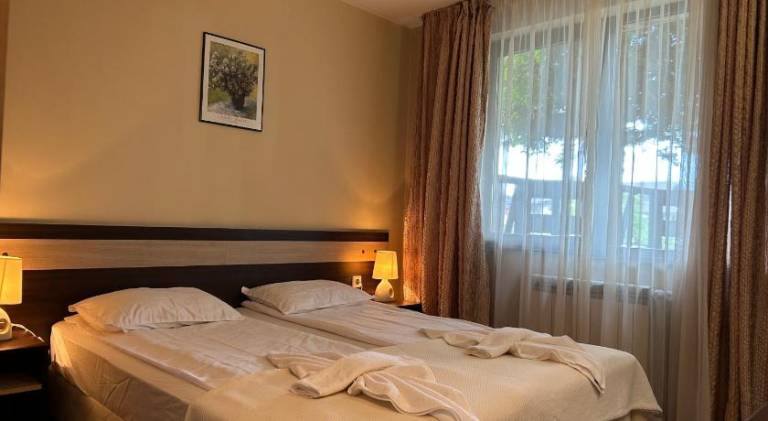 Apartment with private pool in Bansko