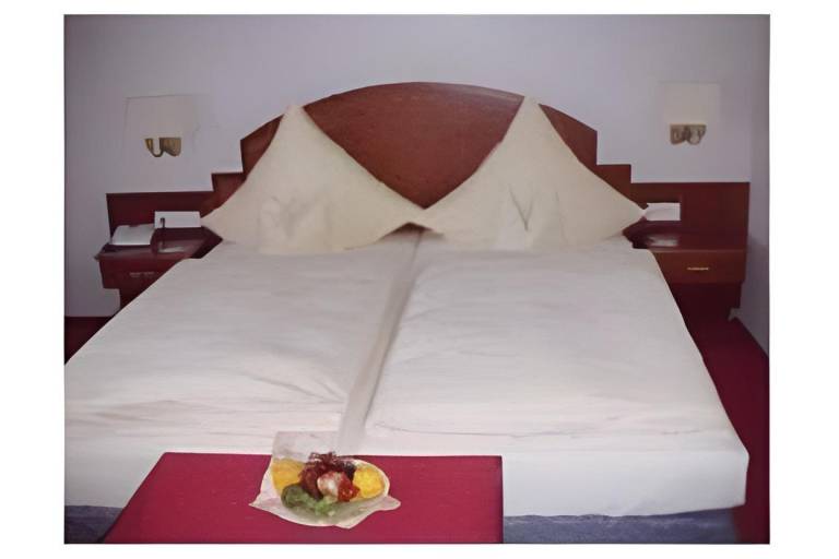 Hotel Krone in Aschaffenburg