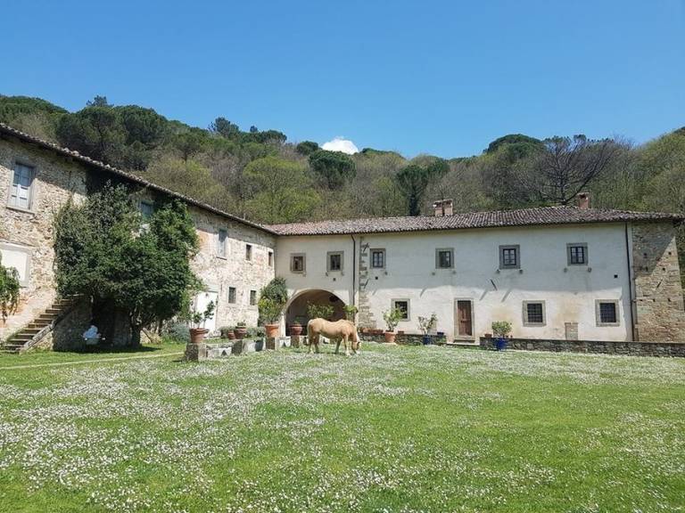 foto15