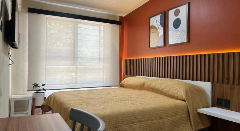 Charming apartment | Pet-friendly in Oaxaca