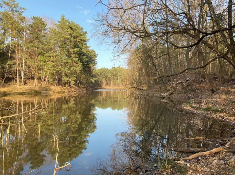 Ferienhaus Coswig (Anhalt)
