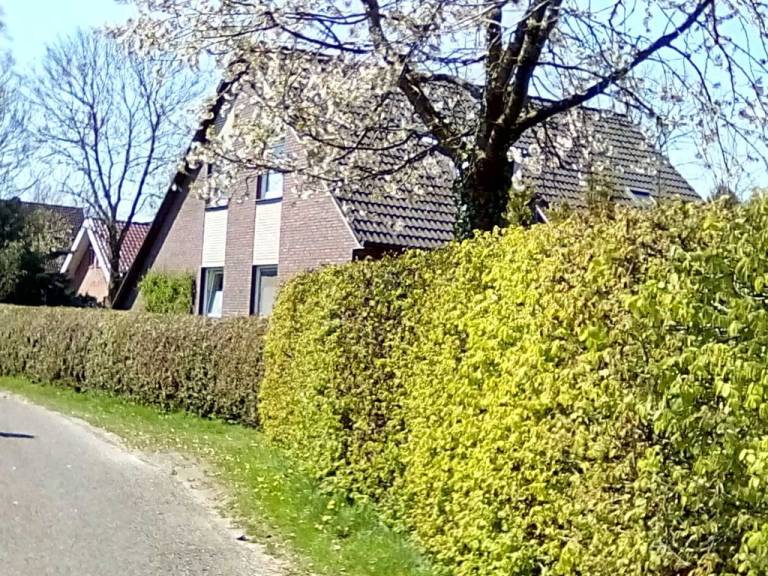 foto15