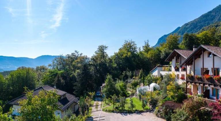 Farm with BBQ, garden & terrace — photo 4