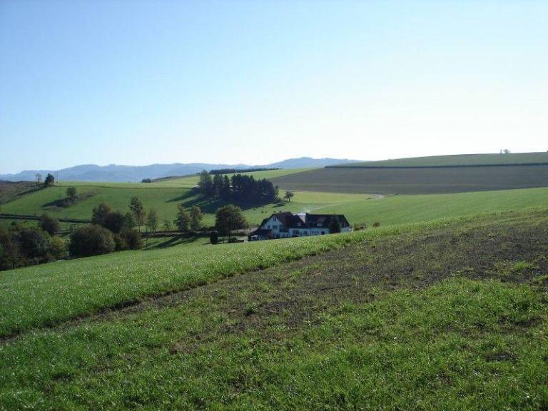 Child-friendly rental apartment with patio & barbecue | Pets are welcome in Eslohe