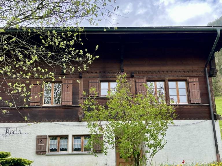 Holiday apartment with yard & patio — photo 3